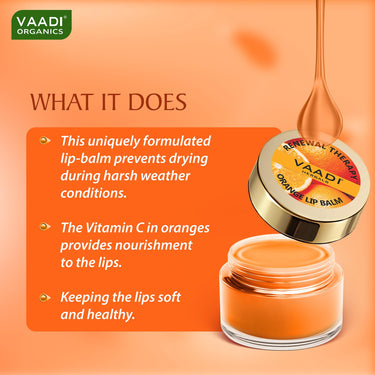 Vaadi Herbals Lip Balm, Orange and Shea Butter, 10gms x 4